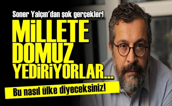 'Dinci AKP Millete Domuz Yediriyor…'