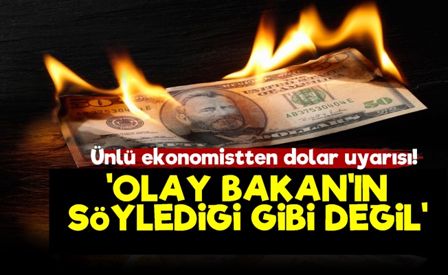 'Dolar Meselesi Bakan'ın Söylediği Gibi Değil'