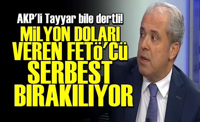 'MİLYON DOLARI VEREN FETÖ'CÜ SERBEST KALIYOR'