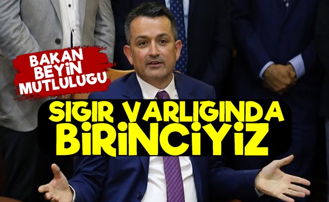 'Sığır Varlığında Birinciyiz'