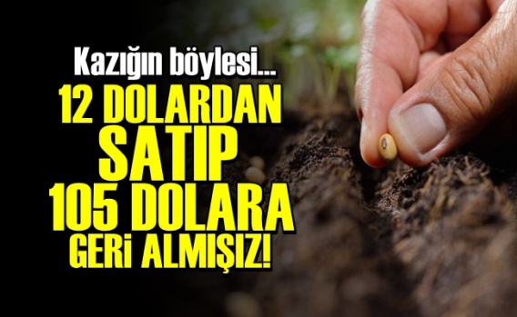 12 Dolara Satıp 105 Dolara Geri Almışız!