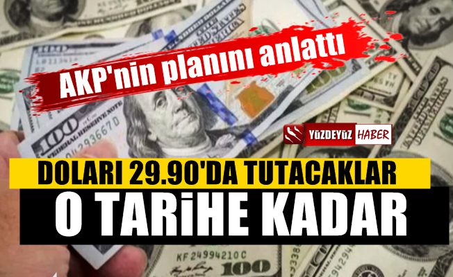 'AKP o tarihe kadar doları 29.90'da tutacak'