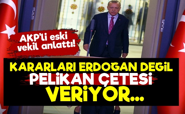 'Devleti 'PELİKAN ÇETESİ' Ele Geçirdi'