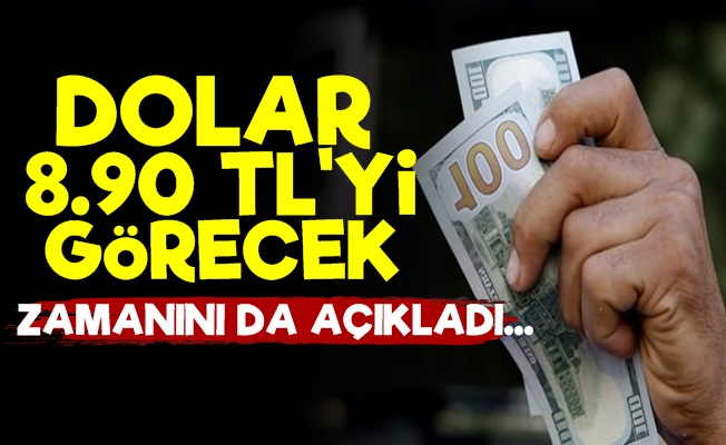 'Dolar 8.90 TL'yi Görecek'