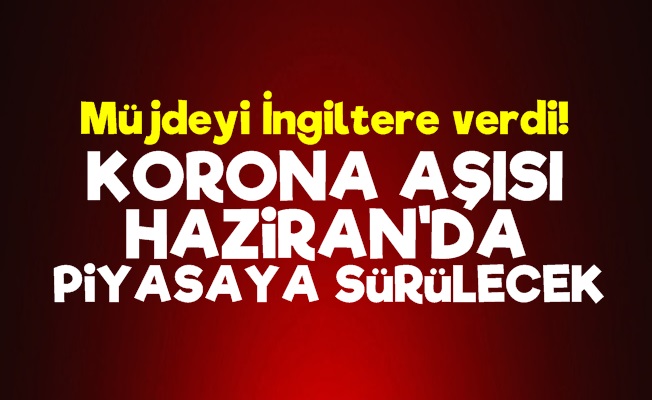 'Korona Aşısı Haziran'da Hazır'