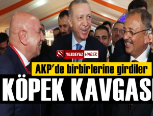 AKP'de köpek kavgası