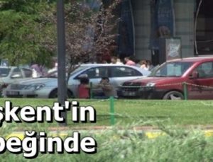 ANKARA’NIN MERKEZİNDE.. SAÇ SAÇA BAŞ BAŞA…