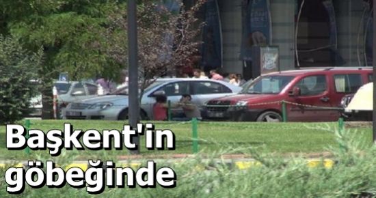 ANKARA’NIN MERKEZİNDE.. SAÇ SAÇA BAŞ BAŞA…