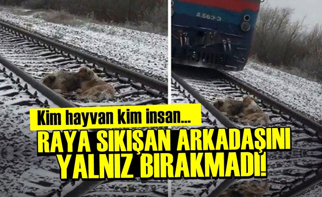 ARKADAŞINI YALNIZ BIRAKMADI!