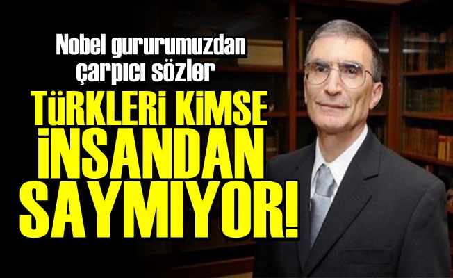 AZİZ HOCA: TÜRKLER İNSANDAN SAYMIYORLAR