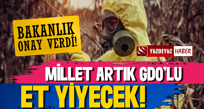 Bakanlık Onay Verdi, Beyaz Et Artık GDO'lu…