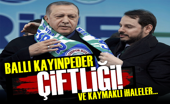 Ballı Kayınpeder Çiftliği!