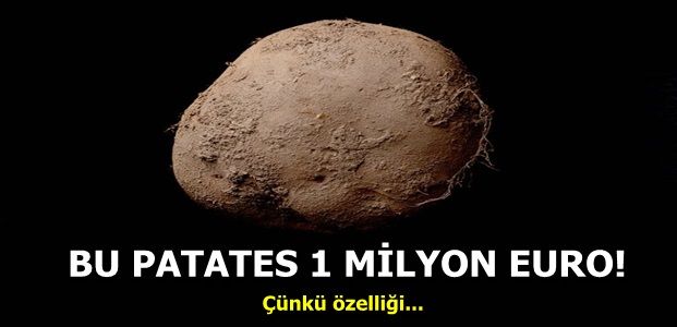 BİR TEK PATATES İÇİN SERVET…