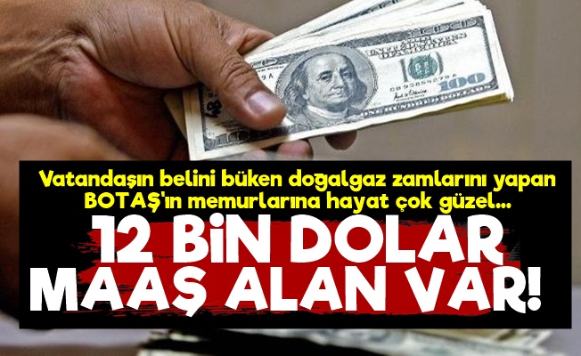 BOTAŞ Memurlarına 12 Bin Dolar Maaş!