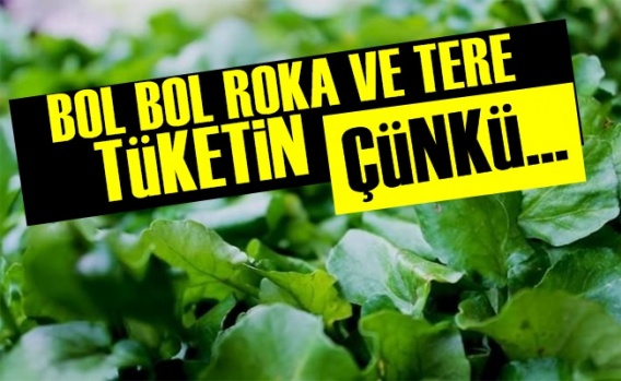 Bu Aylarda Roka Ve Tere Tüketin Çünkü…