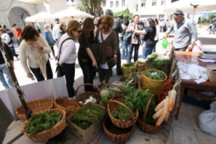 BU FESTİVALDE SADECE ‘OT YEMEKLERİ’ OLACAK