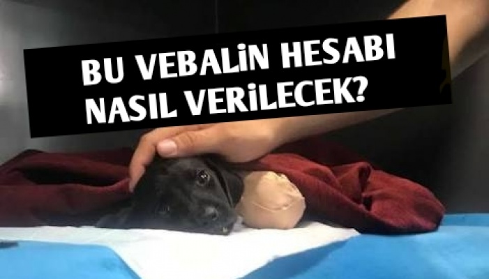 Bu Vebalin Hesabı Nasıl Verilecek?