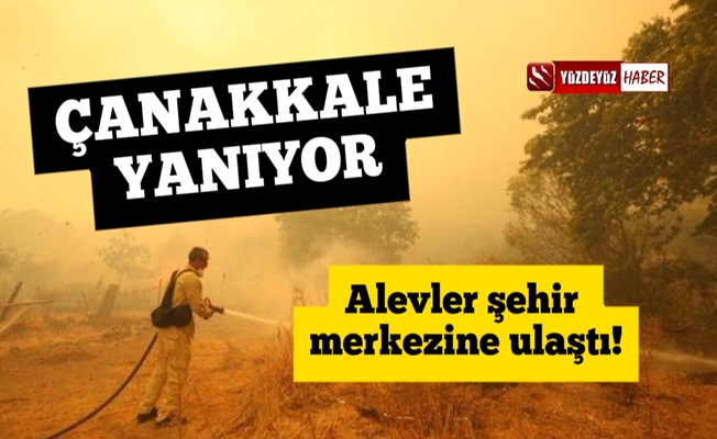 Çanakkale yanıyor, yangın şehir merkezine yaklaştı