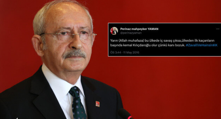 CHP'de kriz çıkaran Perinaz Mahpeyker özürdiledi