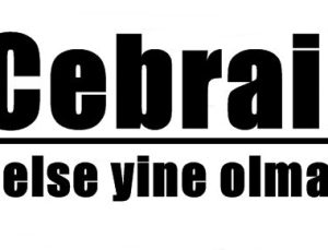 ‘CHP’YE CEBRAİL’İ GETİRSEN YİNE OLMAZ!’