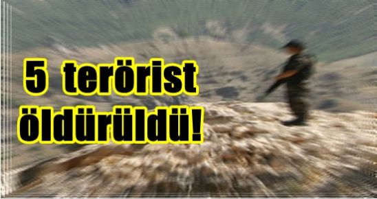 CUDİ’DE 5 PKK’LI ÖLDÜRÜLDÜ