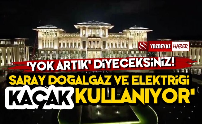 Cumhurbaşkanlığı Sarayı Kaçak Elektrik Kullanıyormuş!