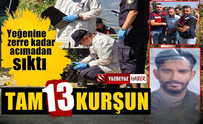 Dayı yeğen kavgası 13 kurşunlu cinayete dönüştü