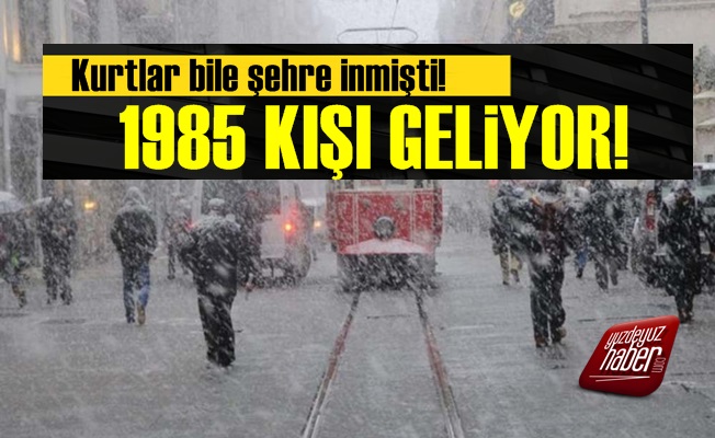 Dikkat! 1985 Kışı Yaşanacak…