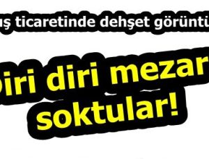 DİRİ DİRİ MEZARA SOKTULAR…