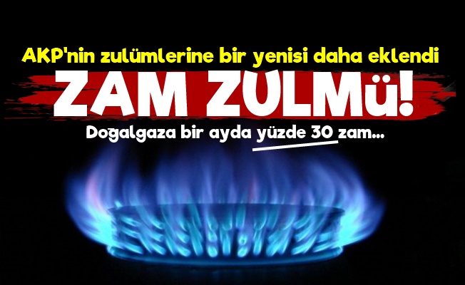 Doğalgaza Bir Ayda Yüzde 30 Zam!