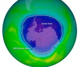 DÜNYANIN TEPESİ AÇILDI