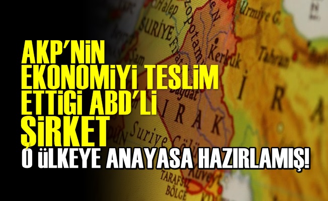 Ekonomimizi Yönetecek Şirket Anayasa Hazırlamış!