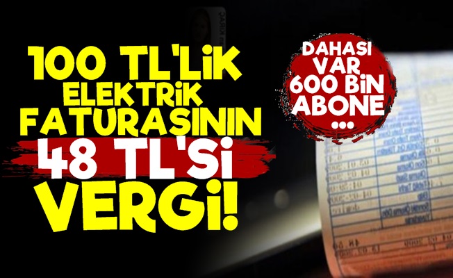 Elektrik Faturası'nın Yarısı Vergi!