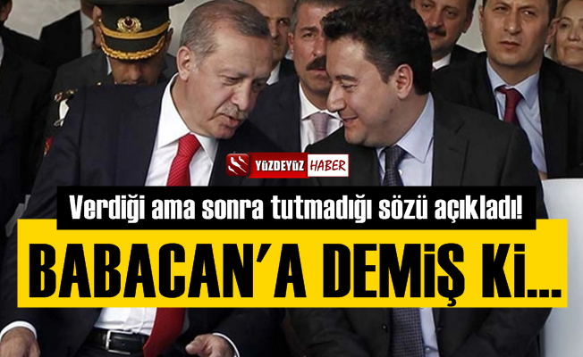 Erdoğan, Ali Babacan'a Bakın Ne Sözü Vermiş