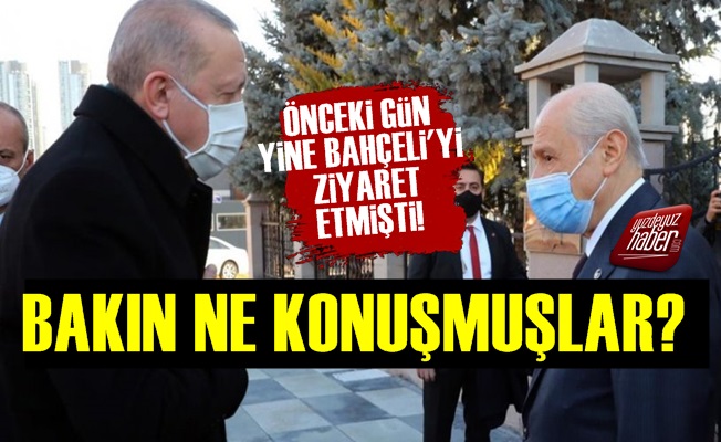 Erdoğan-Bahçeli Görüşmesinden Bakın Ne Çıktı?