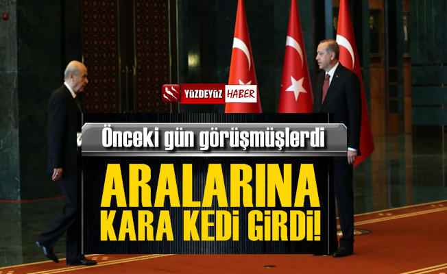 Erdoğan İle Bahçeli'nin Arasına Kara Kedi Girdi