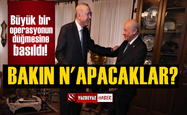 Erdoğan ve Bahçeli büyük bir operasyonun düğmesine bastı