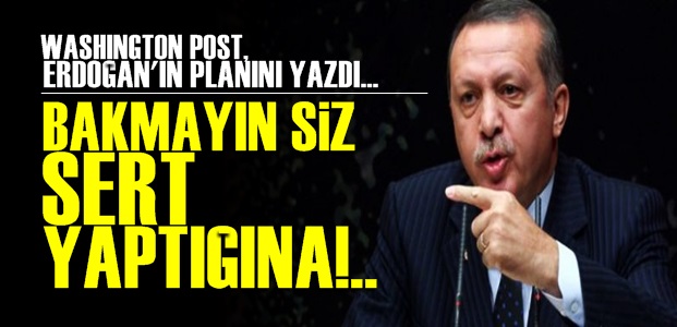 ERDOĞAN'IN PLANINI YAZDILAR!