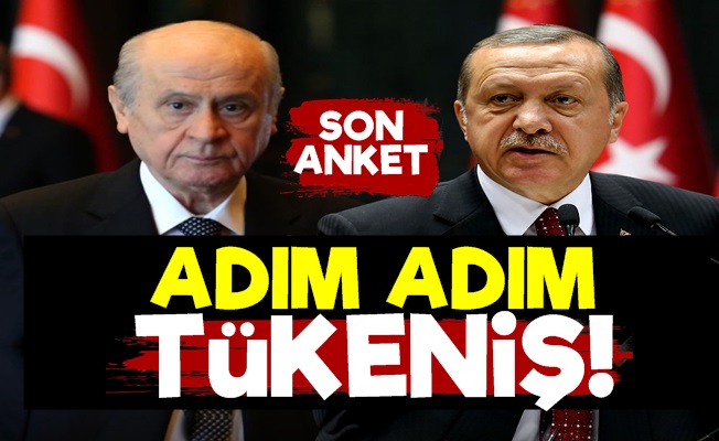 Erdoğan'a Artık Bahçeli de Yetmiyor!