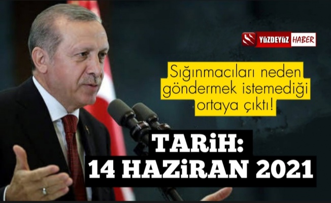 Erdoğan'ın sığınmacıları neden göndermek istemediği ortaya çıktı