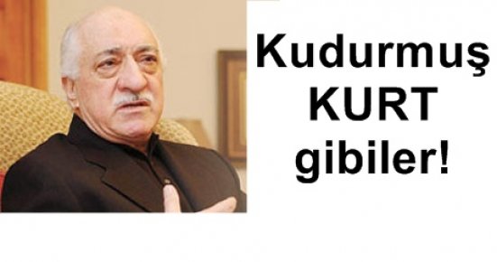 FETHULLAH HOCA ÇOK KIZDI…