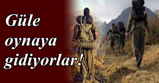 GÜLE OYNAYA GİDİYORLAR!