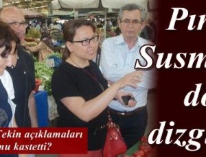 GÜRSEL TEKİN, ‘PINAR SUSMUŞ’U MU KASTETTİ?