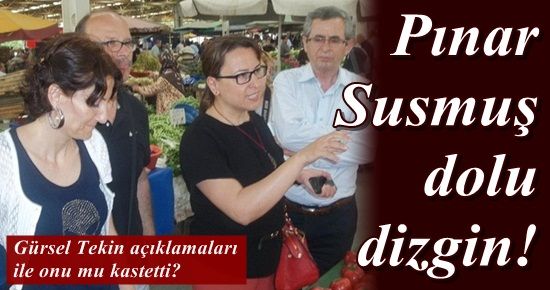 GÜRSEL TEKİN, ‘PINAR SUSMUŞ’U MU KASTETTİ?