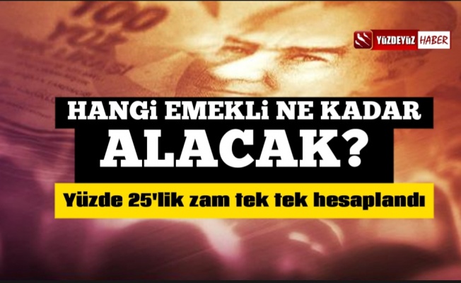 Hangi emekli ne kadar alacak, tek tek hesaplandı