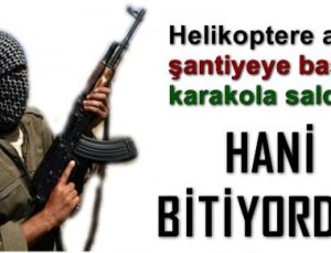 HANİ BİTİYORDU TERÖR?