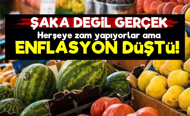 Herşeye Zam Yaparken Enflasyon Düştü!