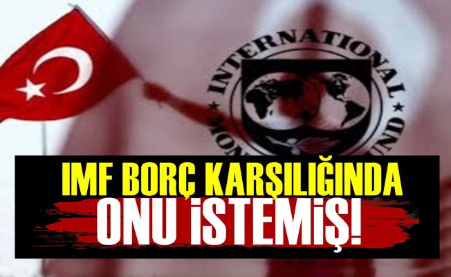 IMF AKP'den Borç Karşılığı Bakın Ne İstemiş?