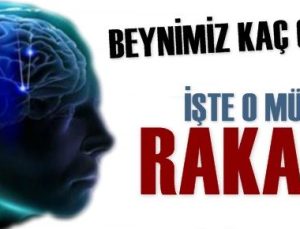 İNSAN BEYNİ KAÇ GB? İŞTE O MÜTHİŞ RAKAM…