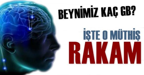 İNSAN BEYNİ KAÇ GB? İŞTE O MÜTHİŞ RAKAM…